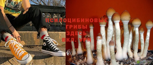 синтетический гашиш Пролетарск