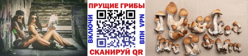 Галлюциногенные грибы Cubensis  Губаха 