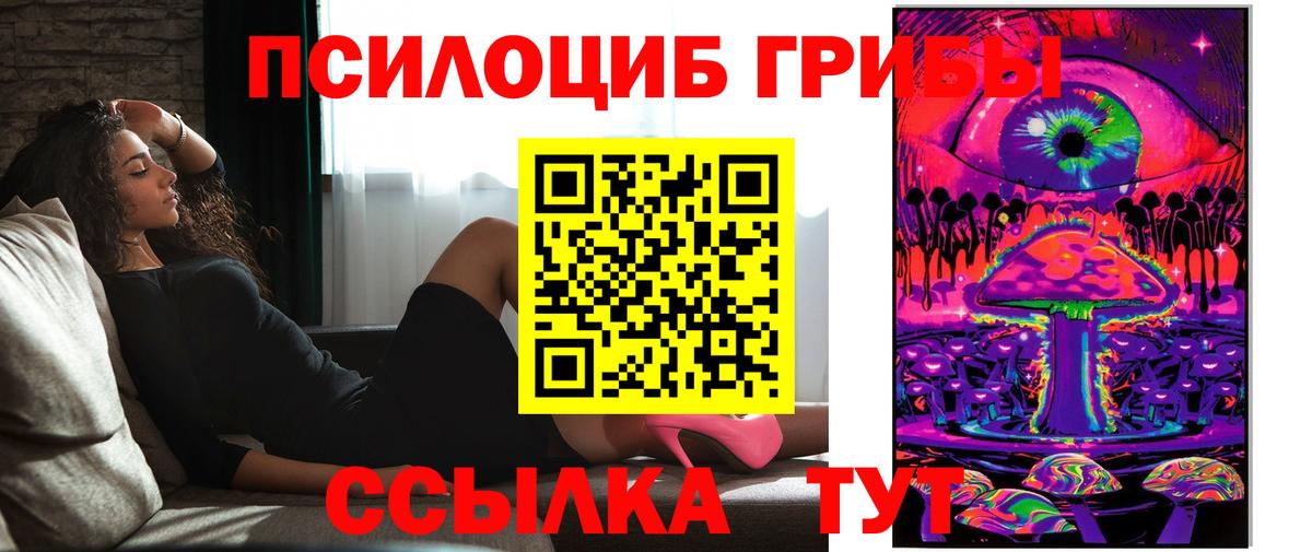 Галлюциногенные грибы прущие грибы Губаха