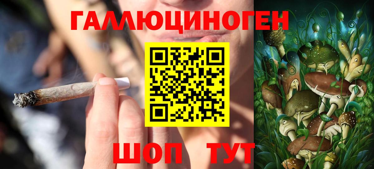 Губаха  купить наркотик  Вход с VPN  Галлюциногенные грибы Magic Shrooms 