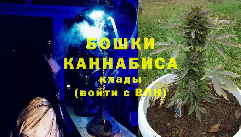 где купить наркотик  Губаха  Бошки Шишки White Widow 